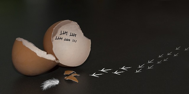 Empreendedorismo Cristão e a Dependência de Deus: Lições de Deuteronômio 8:18